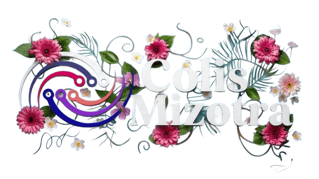 Colis Mizotra Logo